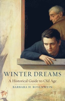 bokomslag Winter Dreams
