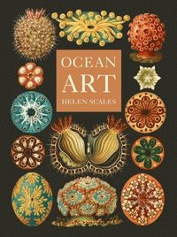bokomslag Ocean Art