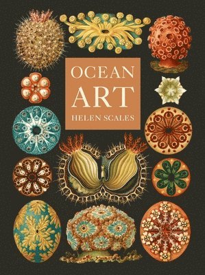 bokomslag Ocean Art