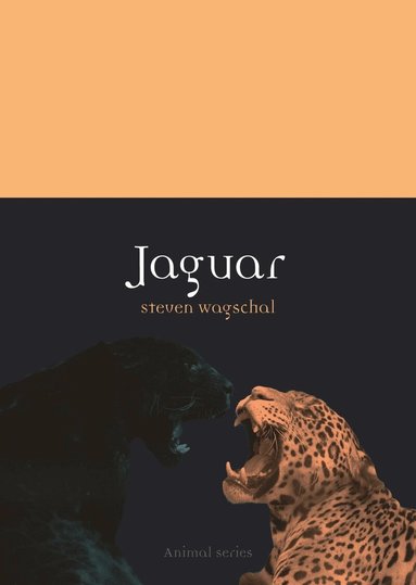 Steven Wagschal - Jaguar, Häftad