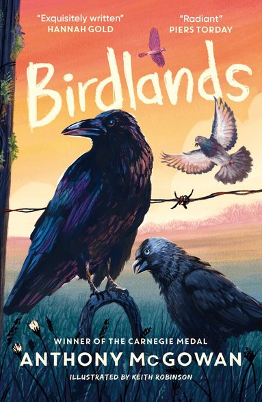 Anthony McGowan - Birdlands, Häftad