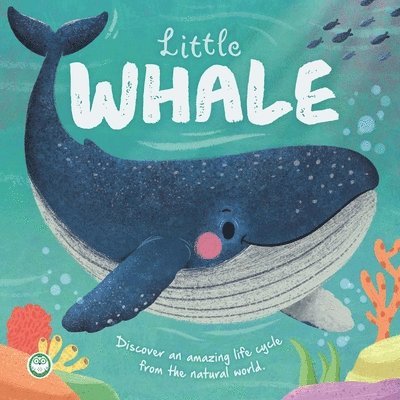 Nature Stories: Little Whale: Discover an Amazing Story from the Natural World