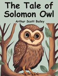 bokomslag The Tale of Solomon Owl