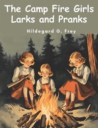 bokomslag The Camp Fire Girls Larks and Pranks