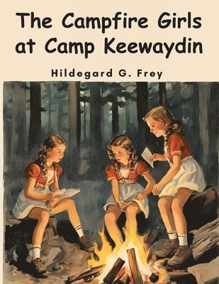 bokomslag The Campfire Girls at Camp Keewaydin