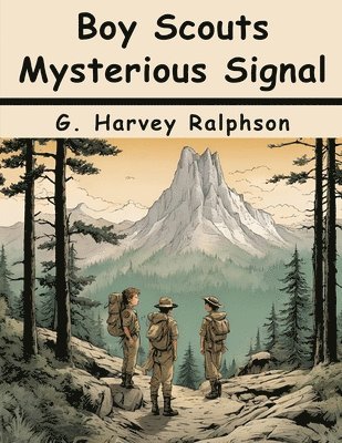 Boy Scouts Mysterious Signal 1