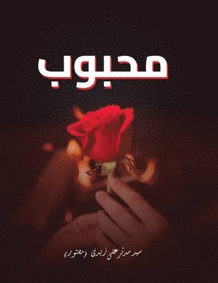 Syed Mudassir Ali Zaidi (Musawwir) - Mehboob, Häftad