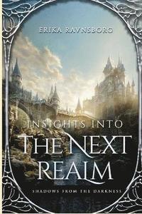 bokomslag Insights into the Next Realm