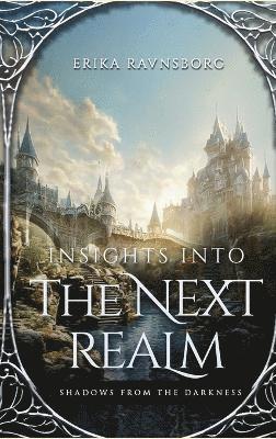 bokomslag Insights into the Next Realm