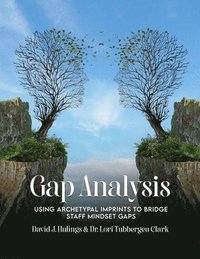 bokomslag Gap Analysis: Using Archetypal Imprints to Bridge Staff Mindset Gaps