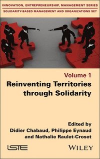 bokomslag Reinventing Territories through Solidarity