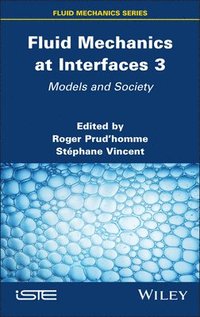 bokomslag Fluid Mechanics at Interfaces 3