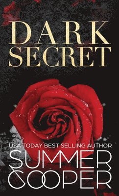 bokomslag Dark Secret