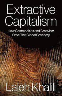 bokomslag Extractive Capitalism