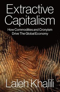 bokomslag Extractive Capitalism: How Commodities and Cronyism Drive the Global Economy