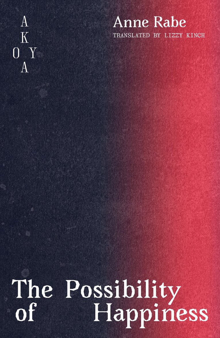 Anne Rabe - Possibility of Happiness, Häftad