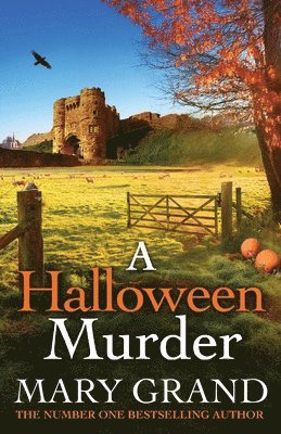 bokomslag Halloween Murder