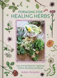 bokomslag Foraging for Healing Herbs
