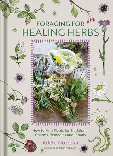Adele Nozedar - Foraging for Healing Herbs, Inbunden