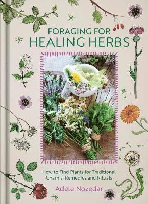 bokomslag Foraging for Healing Herbs