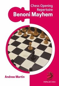 bokomslag Chess Opening Repertoire