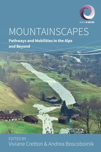 bokomslag Mountainscapes