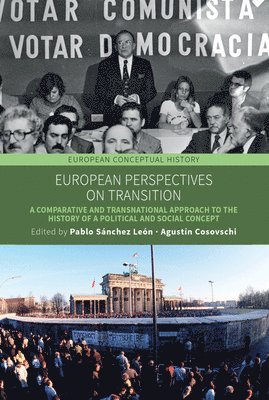 bokomslag European Perspectives on Transition
