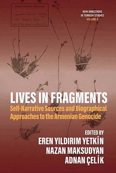 Eren Yıldırım Yetkin, Nazan Maksudyan, Adnan Çelik - Lives in Fragments, Inbunden