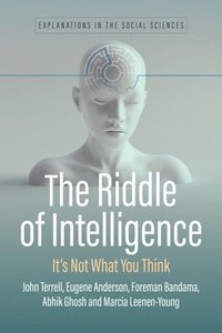 bokomslag Riddle of Intelligence