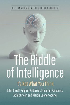 bokomslag Riddle of Intelligence