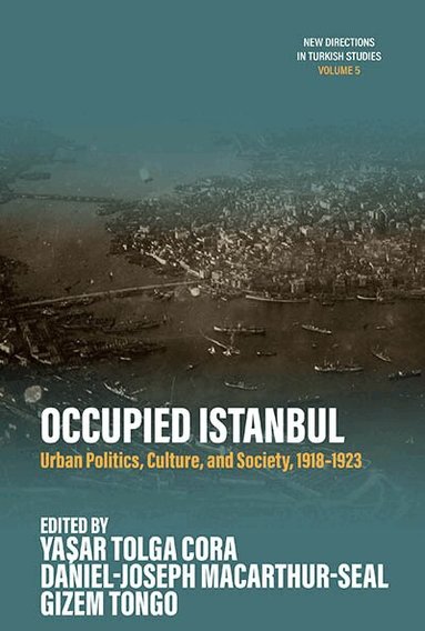 Yaşar Tolga Cora, Daniel-Joseph MacArthur-Seal, Gizem Tongo - Occupied Istanbul, Inbunden
