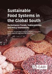 bokomslag Sustainable Food Systems in the Global South