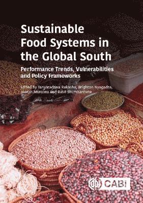 Tanyaradzwa Rukasha, Brighton Nyagadza, Joseph Muroiwa, Basil Shumbanhete - Sustainable Food Systems in the Global South, Inbunden