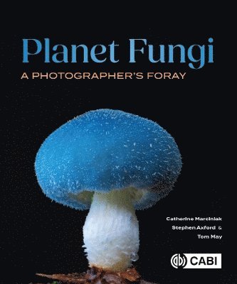 bokomslag Planet Fungi