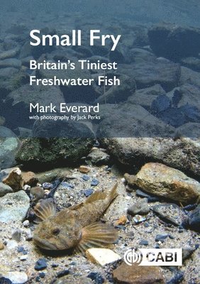 Mark Everard, UK) Everard, Mark (University of the West of England - Small Fry, Inbunden