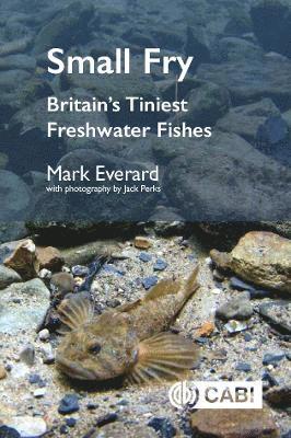 Mark Everard, UK) Everard, Mark (University of the West of England - Small Fry, Häftad