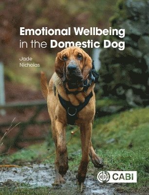 Jade Nicholas - Emotional Wellbeing in the Domestic Dog, Inbunden