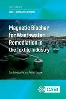 Dan Bahadur Pal, Ashish Kapoor - Magnetic Biochar for Wastewater Remediation in the Textile Industry, Häftad