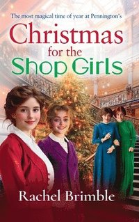 bokomslag Christmas for the Shop Girls