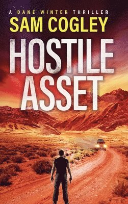 bokomslag Hostile Asset