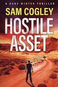 bokomslag Hostile Asset