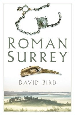 bokomslag Roman Surrey