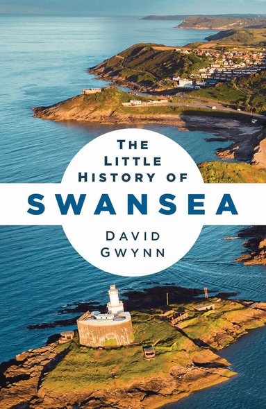 David Gwynn - Little History of Swansea, Häftad