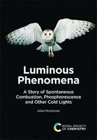 bokomslag Luminous Phenomena