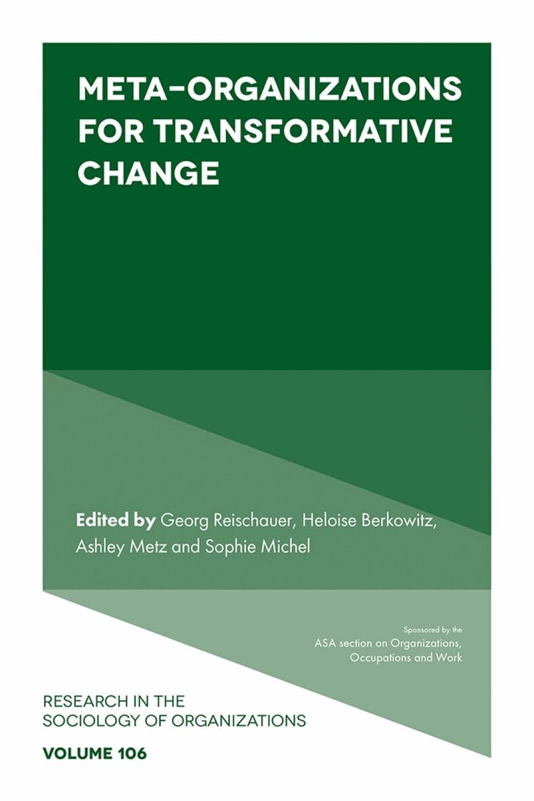 Georg Reischauer, Heloise Berkowitz, Ashley Metz, Sophie Michel - Meta-Organizations for Transformative Change, Inbunden