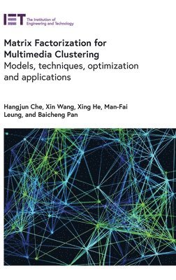 Hangjun Che, Xin Wang, Xing He, Man-Fai Leung, Baicheng Pan - Matrix Factorization for Multimedia Clustering, Inbunden