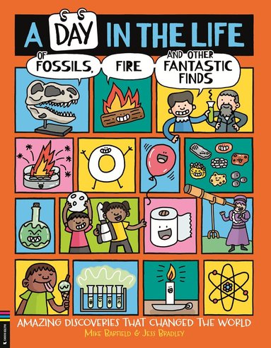Mike Barfield - Day in the Life of Fossils, Fire and Other Fantastic Finds, Häftad