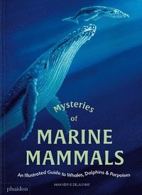 bokomslag Mysteries of Marine Mammals
