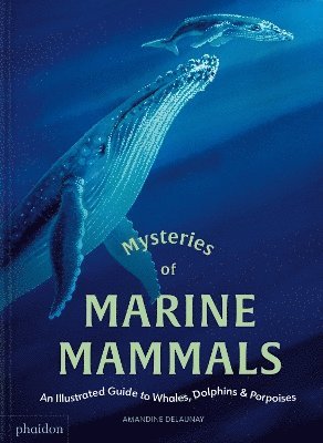Mysteries of Marine Mammals 1