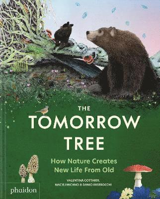 Tomorrow Tree 1